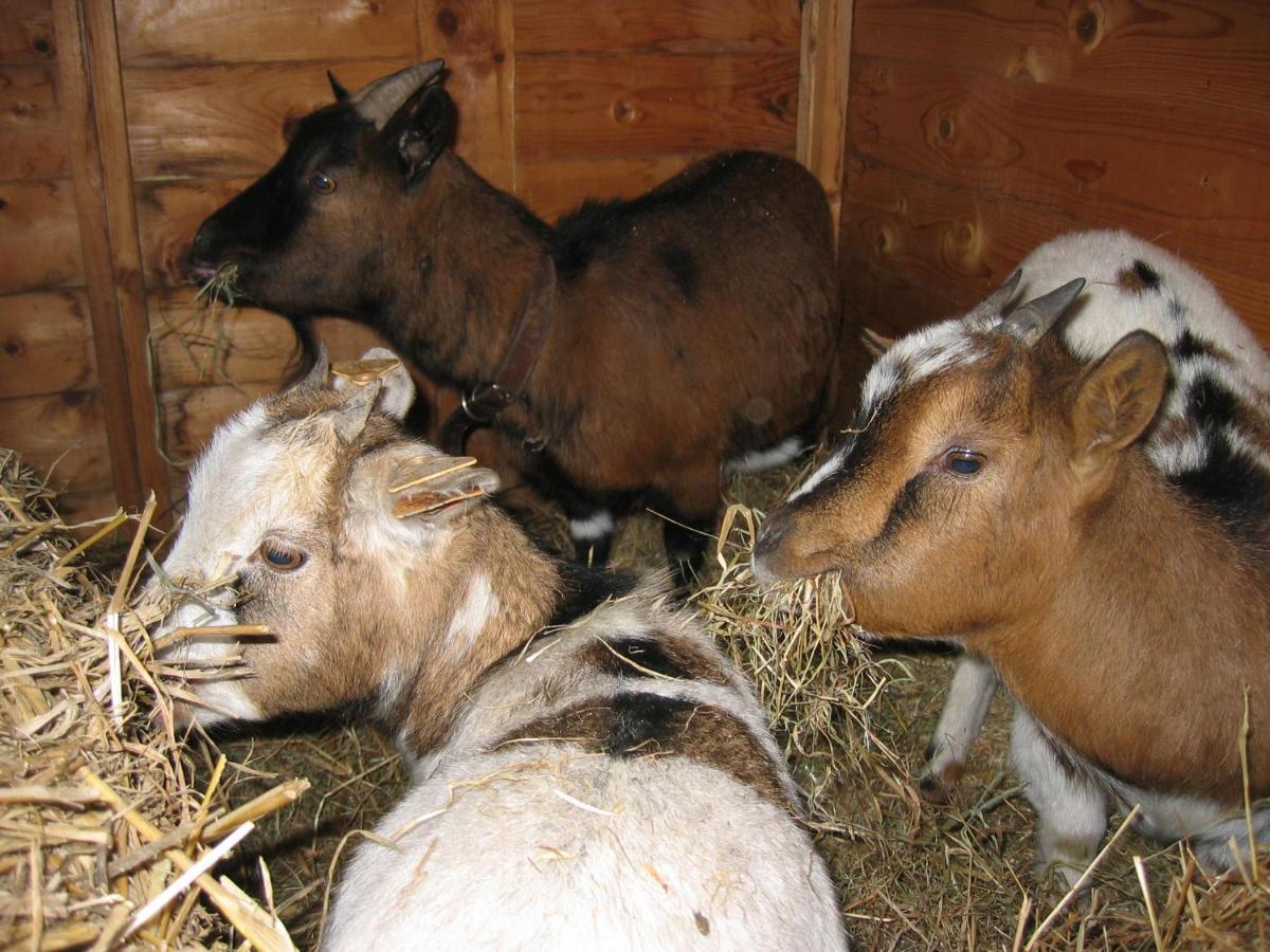 Comme A La Ferme Bed & Breakfast Дюрби Екстериор снимка